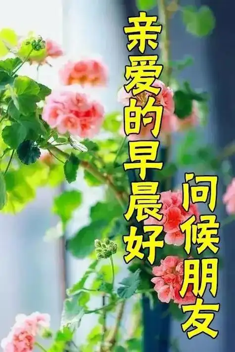 4月17日早安心语,真诚友谊早上好祝福语,早安片
