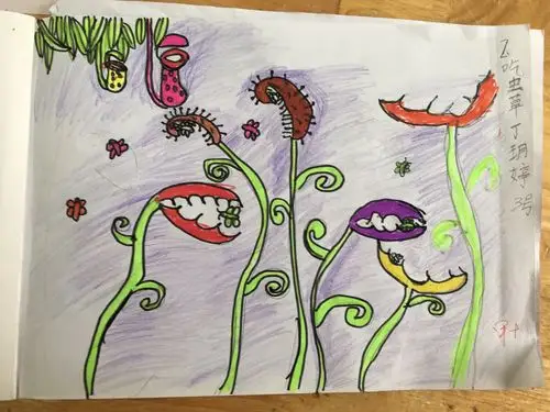 二7班美术第2次作业《吃虫草》