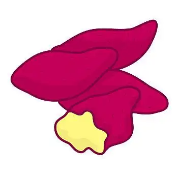 甘薯,隔绝,土豆,插画,白色背景,背景