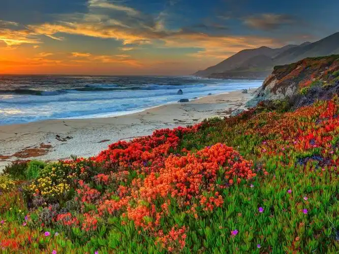 美景入梦乐心扉四