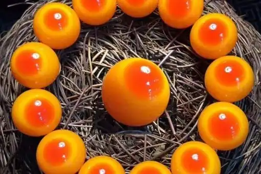 盔犀鸟把玩后图片盔犀鸟手串正品图片