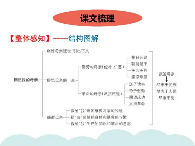 统编版八年级语文上册7回忆我的母亲习题课件38张ppt
