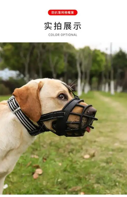 泰瑞格 硅胶中大型犬狗狗嘴套嘴罩防咬叫口笼狗宠物拉布拉多马犬金毛