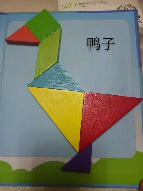 李星怡的暑假七巧板拼图