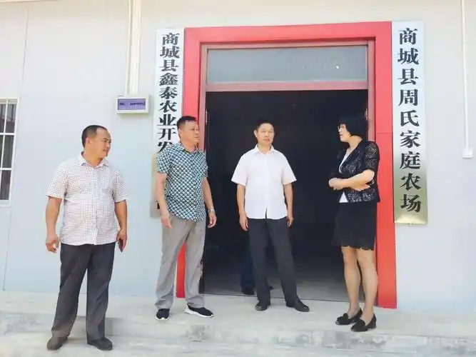 商城县委常委,统战部长李金娥调研帮扶村精准扶贫项目