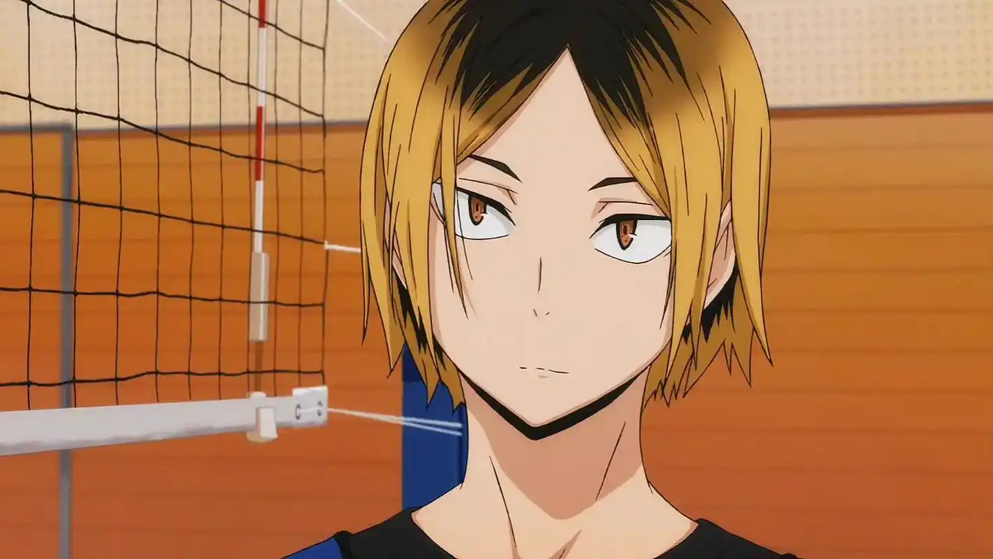 染个头会掉成这样吗 #孤爪研磨 #排球少年 #猫猫 #动漫  - 抖音