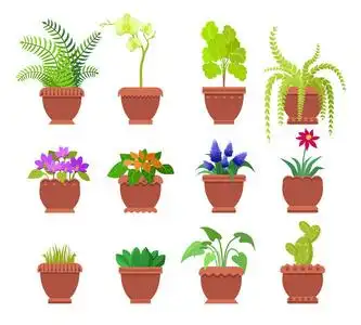 手绘鹿的角仙人掌植物det.