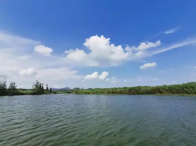 东平湖湿地公园