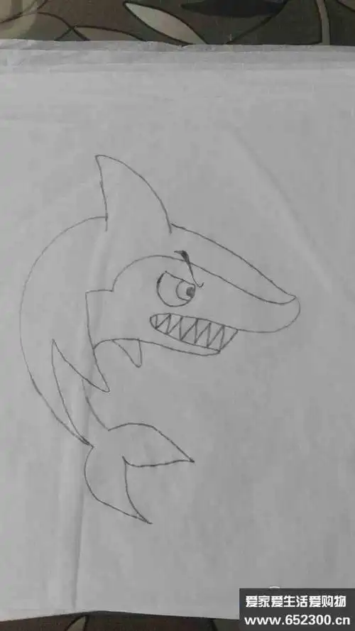 鲨鱼和沧龙简笔画