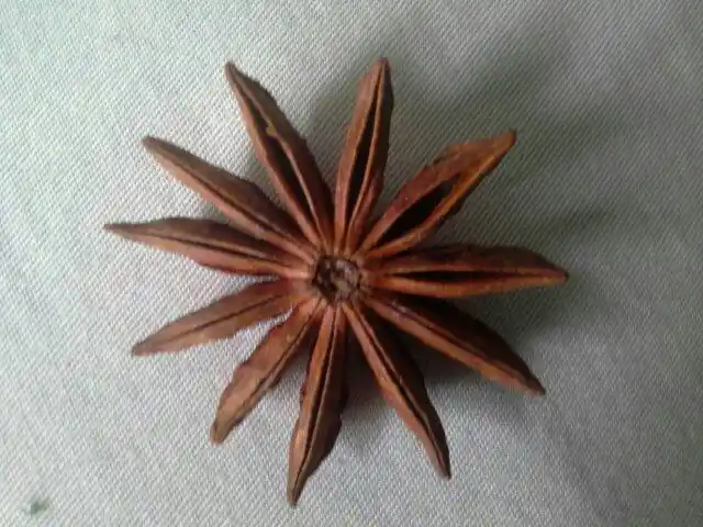 这是八角还是莽草