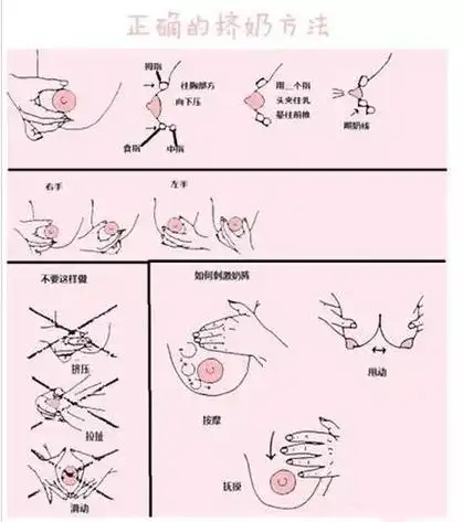催乳教程视频4(催乳方法手法视频)
