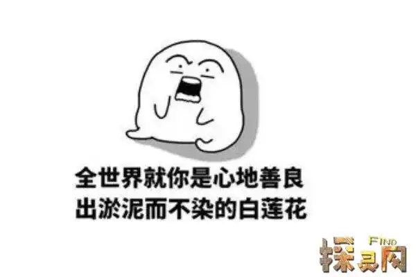 白莲花是什么意思外表纯洁但富有心机与绿茶婊类似