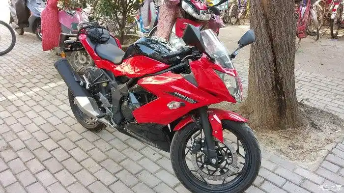 再不疯狂我们就老了-提川崎红色小忍者250sl