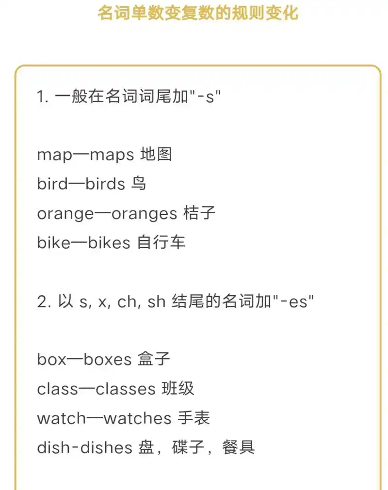 英语学习 #暑期逆袭#可数名词变复数 #专题知识梳理    - 抖音