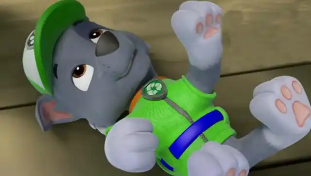 狗狗巡逻队小力喜欢灰灰的睡姿 汪汪队立大功