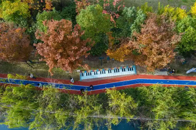 11月22日,居民在龙泉街道祥和社区新建成的环河健康步道休闲散步(无人