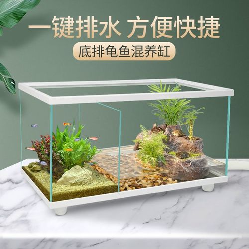 2020新款鱼缸创意鱼龟混养缸生态造景别墅晒台客厅桌面底排乌龟缸