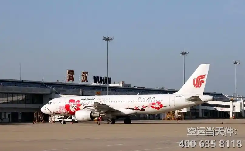 璟文物流武汉分公司代理东方航空,南方航空货运销售,为客户提供优质的