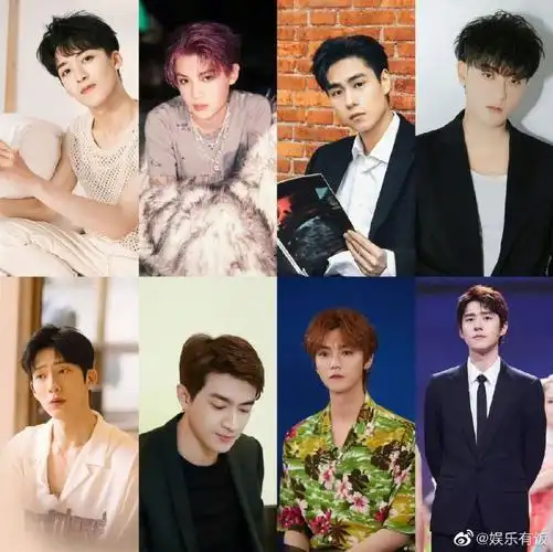 黄子韬,鹿晗,刘昊然,李现,刘宇,李易峰,刘宇宁,罗云熙,檀健次,王嘉尔