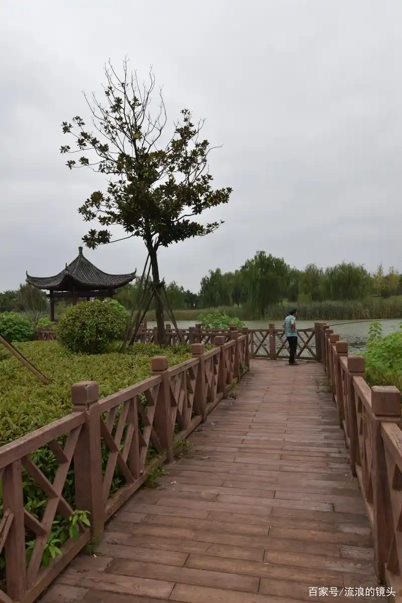 合肥市肥西县官亭林海