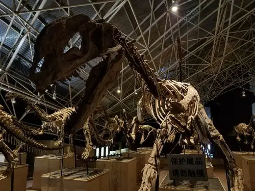 圆儿时梦昆明行纪禄丰恐龙谷篇