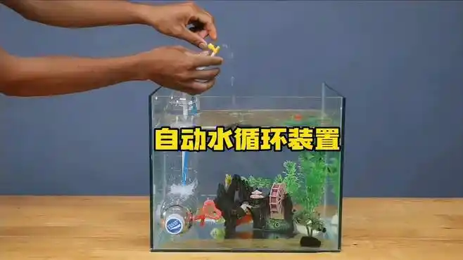 太能干了!小伙居然自制鱼缸和自动水循环装置-生活视频-搜狐视频