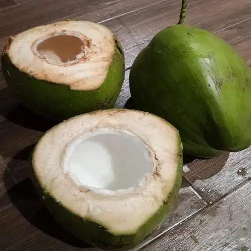 海南椰青带皮新鲜包邮5个装青椰子文昌特产孕妇四季水果天然饮料-mc母