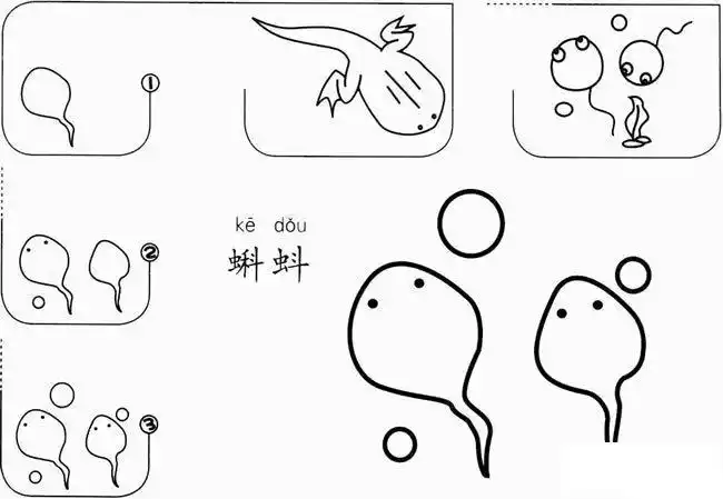 最简单的小蝌蚪怎么画简笔画