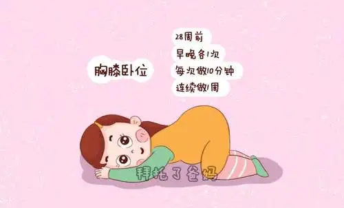 其姿势是,在硬板床上,胸膝着床,臀部高举,大腿和床垂直,胸部要尽量