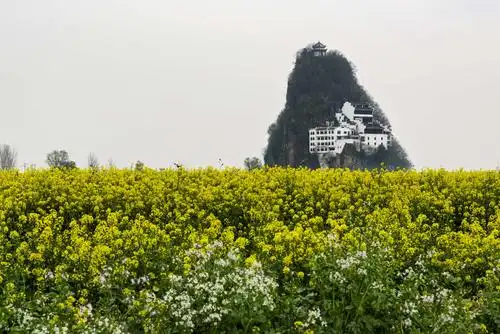 宿松乡村自然风光