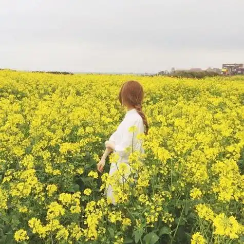 女头像40来岁风景 女生头像图片大全 -【爱个性】