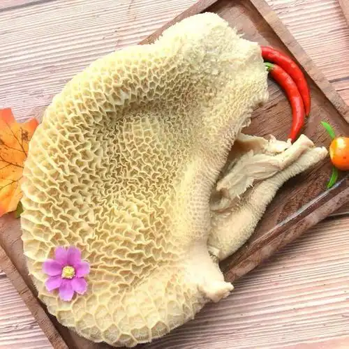 顺丰速运金钱肚新鲜牛肚子蜂窝肚现煮速冻生鲜林诺新威牛肚2斤