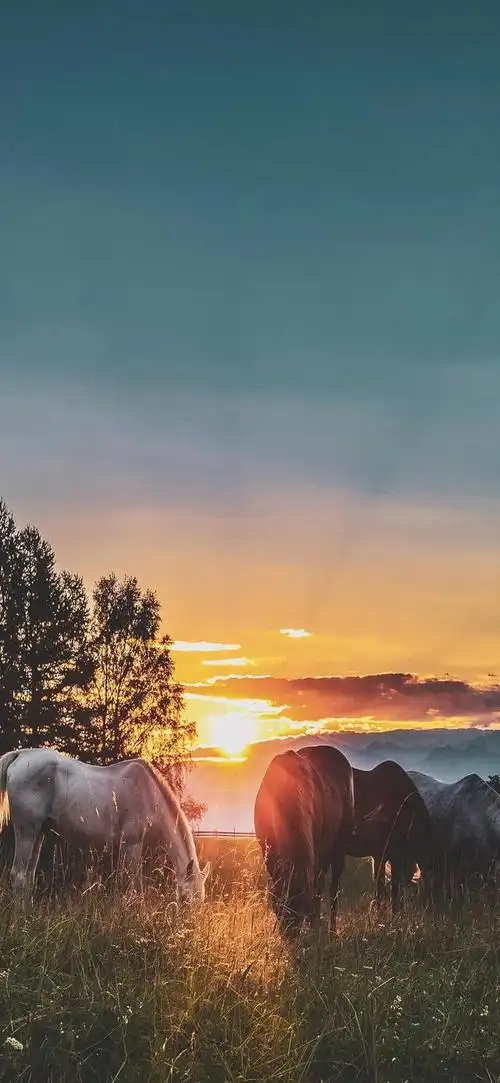 风景  超清图片,最美风景图片大全高清(精美风景高清全屏壁纸)