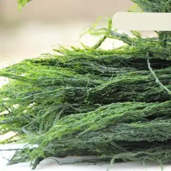 海鲜水产 海鲜制品 元井 宁波特产 海苔*海苔条*苔菜条鲜香 新鲜500g