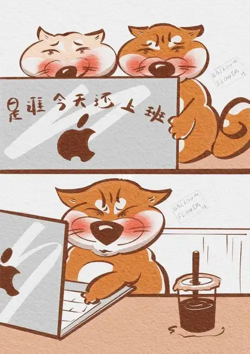 周末快乐!让我看看是谁今天还上班|柴犬