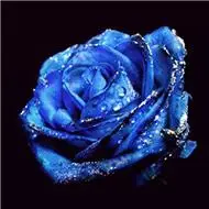 蓝色妖姬超美头像