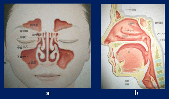 各手术について