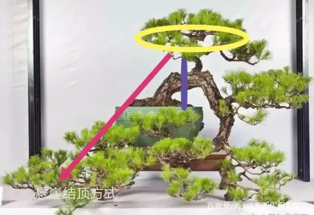 所有悬崖结顶方式如此处理,图1