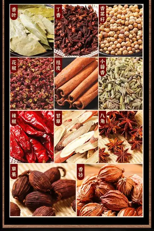 卤料王 潮汕风味调味包 卤鹅卤肉蛋猪脚配方卤味家庭商用五香卤水料