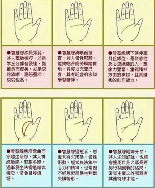 女人手相智慧线图解头脑状况的指南针