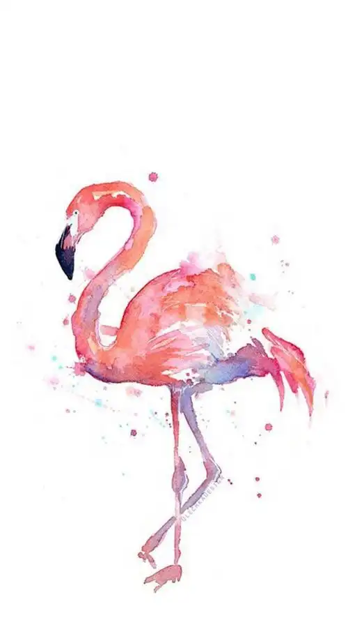手绘火烈鸟唯美插画,高清图片,手机锁屏桌面-壁纸族