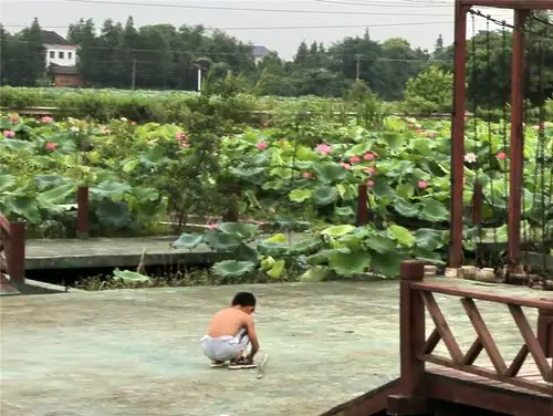 乡下打赤膊的可爱小男孩