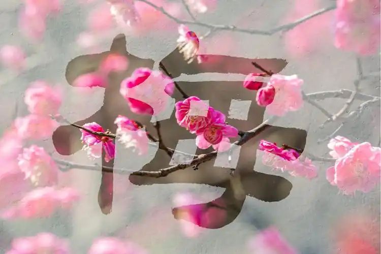 梅花与"梅"字结合