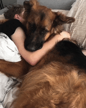 原来养狗的女生在狗狗的眼中都是小仙女啊