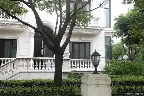 刷新豪宅交易记录的自建别墅只是赌王不动产的冰山一角.