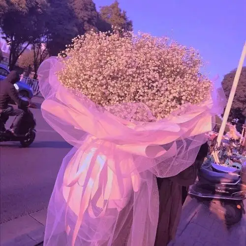 满天星的花语甘愿做配角