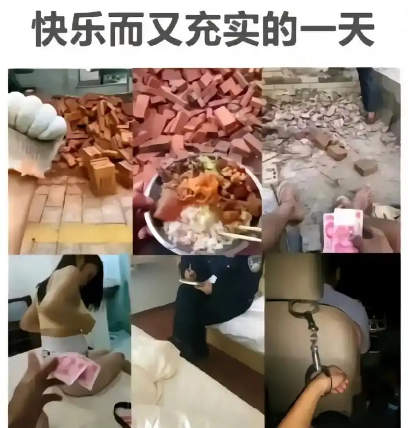 快乐而又充实的一天[滑稽]