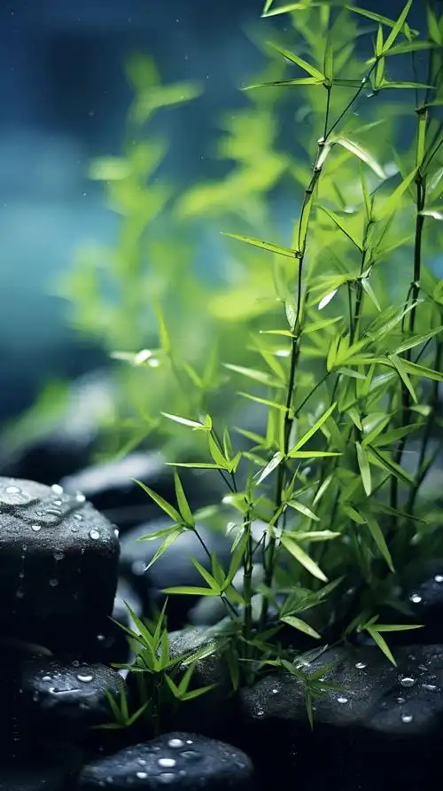 高清绿色护眼壁纸(自取@游子的记忆的动态