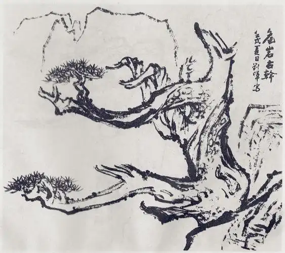 刘晖的黄山松上