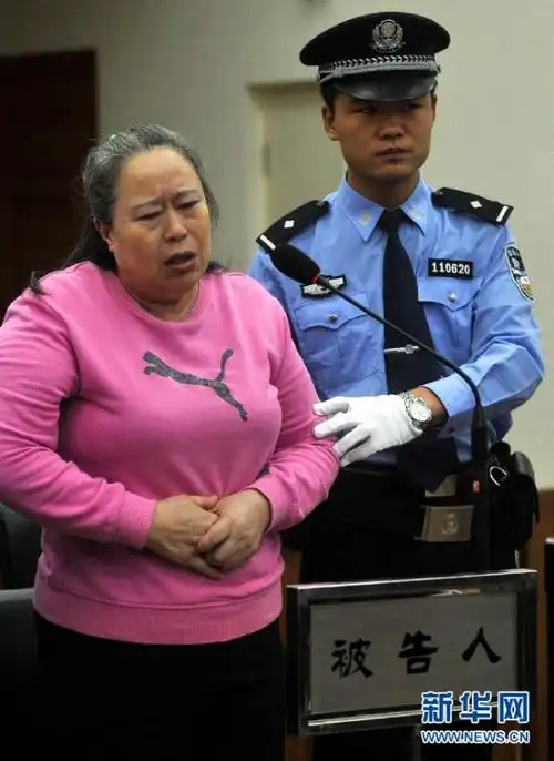 山西女商人丁书苗一审获刑20年并处罚金25亿元图2